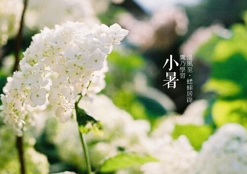 小暑什么意思？小暑怎么預(yù)防中暑