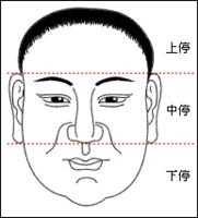 面相學入門：面相的三停指的是什么