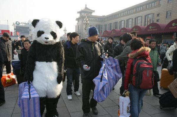 行為藝術(shù)？旅客穿熊貓玩偶服扮成大熊貓體驗春運遭圍觀