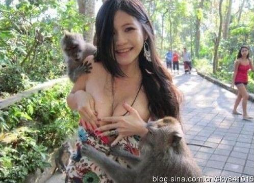 盤點胸前被“扒光”事件：喂奶姐、猴抓妹、張柏芝照片