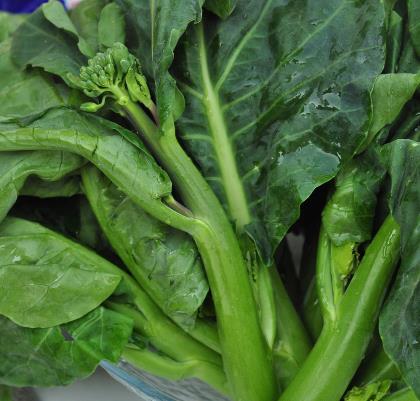 孕婦能吃芥藍嗎？孕婦吃芥藍的食用禁忌