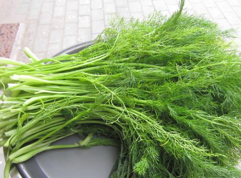 孕婦能吃茴香嗎？孕婦吃調味品的注意事項