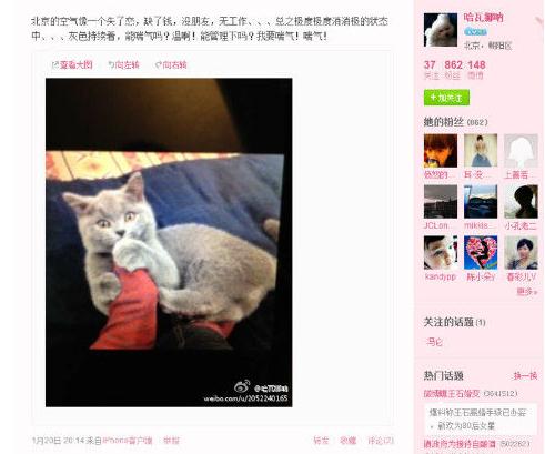王石新歡田樸珺微博曝光，二人巴西吃烤肉，微博曬同一只貓