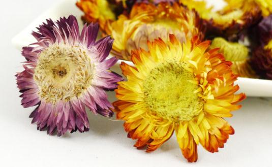 菊花美容養顏-菊花怎么吃最好？
