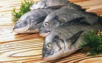 魚(yú)的哪些部位比較有營(yíng)養(yǎng)？洗魚(yú)有什么技巧？