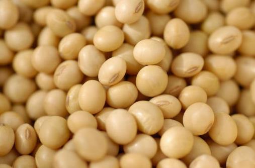 吃什么對乳房好？保護(hù)乳房的食物推薦