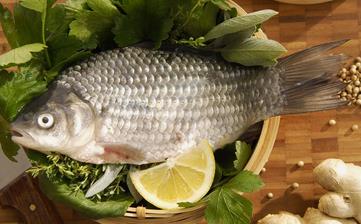 鯽魚_鯽魚的營養價值,營養成分,功效與作用,鯽魚的做法大全