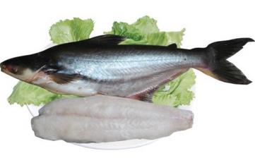 鱈魚(yú)_鱈魚(yú)的營(yíng)養(yǎng)價(jià)值,營(yíng)養(yǎng)成分,功效與作用,鱈魚(yú)的做法大全 鱈魚(yú)_鱈魚(yú)的營(yíng)養(yǎng)價(jià)值,營(yíng)養(yǎng)成分,功效與作用,鱈魚(yú)的做法大全