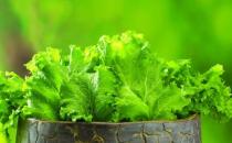 冬季排毒吃什么好？11種食物吃掉體內毒素