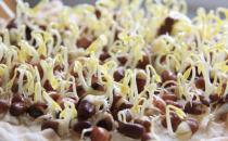 黃豆芽和綠豆芽有什么區別？
