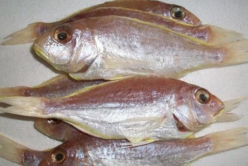 什么是冰鮮食品？如何區分冰鮮魚和冰凍魚？