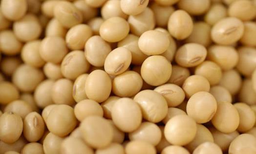 吃什么對乳房好？保護乳房的9種食物推薦