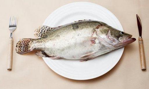 教你如何選到肉質(zhì)鮮嫩的好魚(yú)