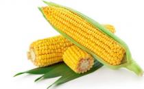 冬季養(yǎng)胃吃啥好？9種食物來護(hù)胃