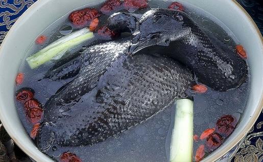 烏雞營養價值高 女性怎么吃最養顏
