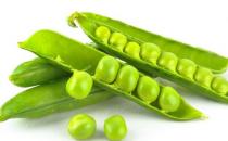 吃出白嫩??！10種蔬菜不能少
