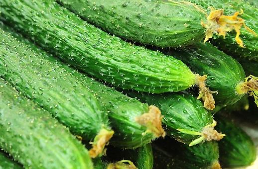 夏季吃什么美容？10大美容護(hù)膚食物推薦