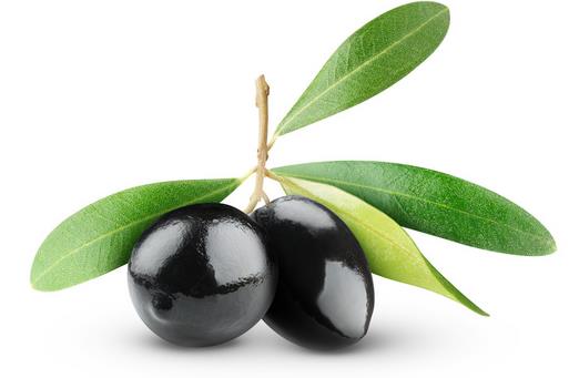 橄欖油能護發(fā)？五大護發(fā)秘笈