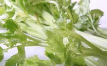 芹菜也分種類 芹菜有哪些藥效？