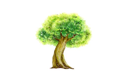 榕樹是怎樣的？怎么識別榕樹？