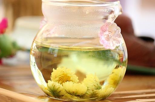 春季宜多喝花茶養生