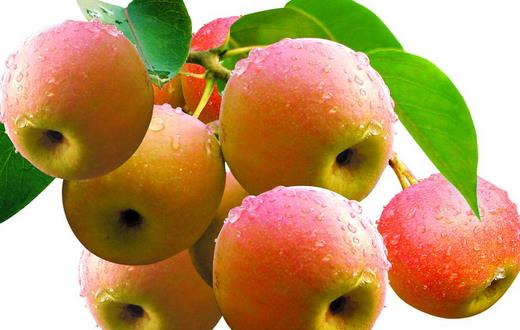 老人春季養(yǎng)生 這5種食物不能錯(cuò)過(guò)