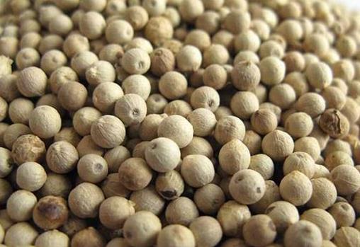 胡椒有什么營養價值？黑白胡椒有什么區別？