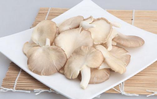 吃鳳尾菇好嗎？鳳尾菇怎么做好吃？