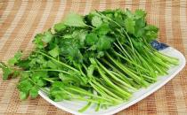 芫荽是什么？芫荽怎么做好吃？