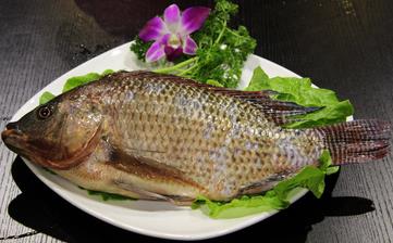 【福壽魚】_福壽魚的營養(yǎng)價值,福壽魚怎么做好吃,福壽魚的做法大全 【福壽魚】_福壽魚的營養(yǎng)價值,福壽魚怎么做好吃,福壽魚的做法大全