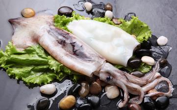 【魷魚】_魷魚的營養價值,魷魚怎么做好吃,魷魚的做法大全 【魷魚】_魷魚的營養價值,魷魚怎么做好吃,魷魚的做法大全