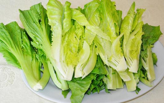 白菜有多種 哪種白菜營養更高？