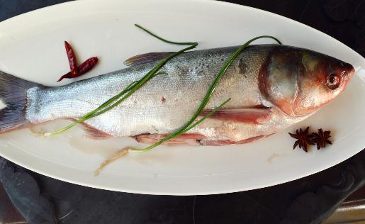 冷水魚是啥？冷水魚最美味