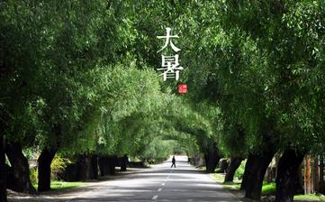 【大暑節氣】大暑是幾月幾日_大暑吃什么_大暑養生_大暑是什么意思