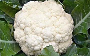 【菜花】花椰菜_花菜_菜花的營養價值_菜花怎么做好吃_菜花的做法大全
