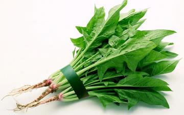 【菠菜】菠菜的營(yíng)養(yǎng)價(jià)值_菠菜不能和什么一起吃_菠菜的做法大全 【菠菜】菠菜的營(yíng)養(yǎng)價(jià)值_菠菜不能和什么一起吃_菠菜的做法大全