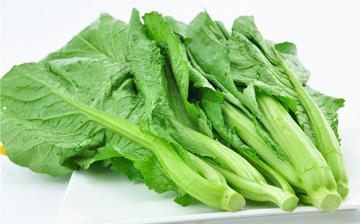【芥菜】芥菜的功效與作用營養價值_芥菜怎么做好吃_芥菜的做法大全