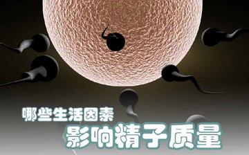 【精子質量】精子質量差有什么表現_提高精子質量的方法 【精子質量】精子質量差有什么表現_提高精子質量的方法
