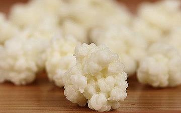 【雪蓮菌】雪蓮菌的營養價值_雪蓮菌的功效和作用_什么牌子的雪蓮菌好