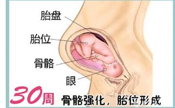 【懷孕30周】懷孕30周癥狀_懷孕30周胎兒變化_媽媽狀態_懷孕30周注意事項