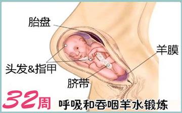 【懷孕32周】懷孕32周發育指標_懷孕32周胎兒變化_媽媽狀態_懷孕32周注意事項