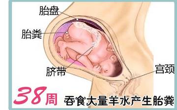 【懷孕38周】懷孕38周發(fā)育指標(biāo)檢查_懷孕38周胎兒變化_媽媽狀態(tài)_懷孕38周注意事項(xiàng)