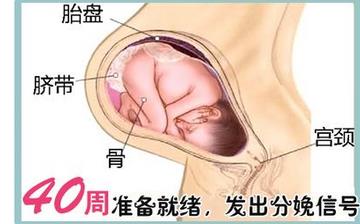 【懷孕40周】懷孕40周發(fā)育指標(biāo)檢查_懷孕40周胎兒變化_媽媽狀態(tài)_懷孕40周注意事項 【懷孕40周】懷孕40周發(fā)育指標(biāo)檢查_懷孕40周胎兒變化_媽媽狀態(tài)_懷孕40周注意事項