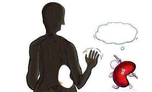 腎功能檢查什么？腎功能檢查的項目
