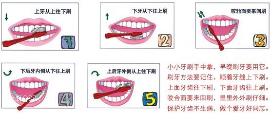 刷牙前用牙刷沾水？教你正確刷牙方法