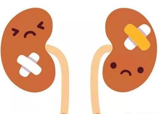 男性冬季吃什么好 男性冬季如何補(bǔ)腎 冬季補(bǔ)腎食譜