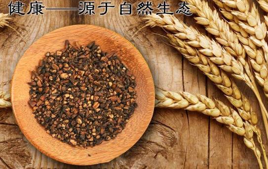 什么人不能喝大麥茶呢？ ?