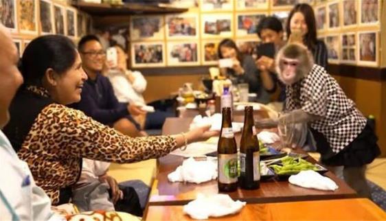 日本最火爆的餐廳之一 猴子當服務生，報酬只要香蕉