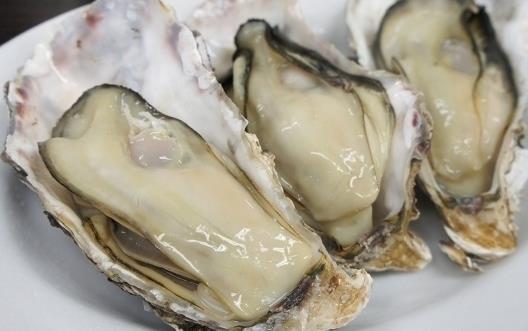 牡蠣為營養豐富的食品 美味牡蠣食譜