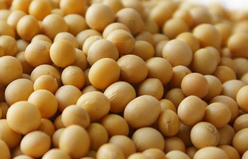 經常放屁可能是身體要出大問題 容易產生屁的食物